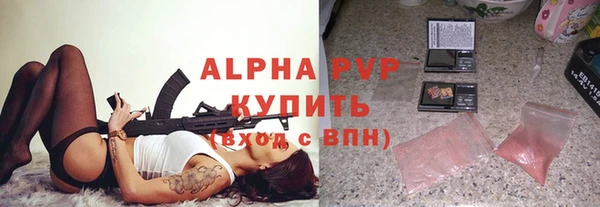 СК Инта