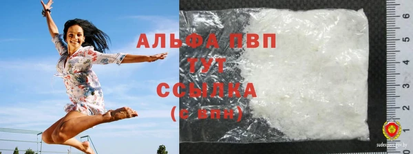 прущие грибы Инсар