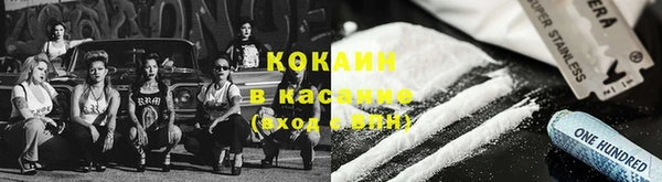 СК Инта