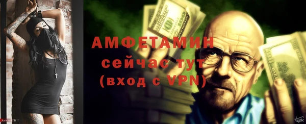 прущие грибы Инсар