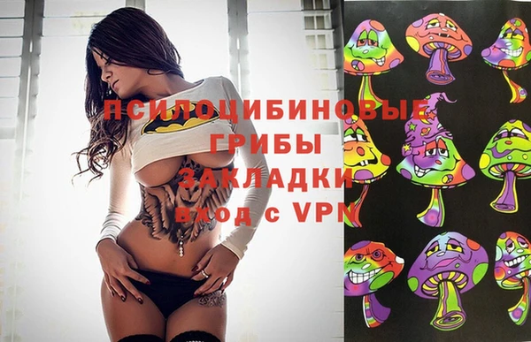 прущие грибы Инсар
