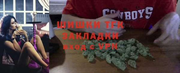 СК Инта