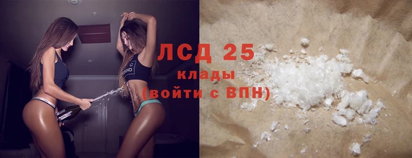 прущие грибы Инсар