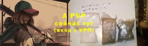apvp Иннополис