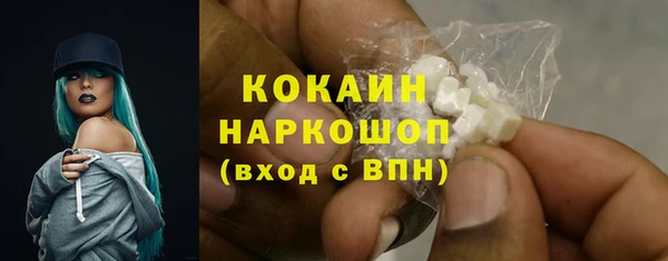 прущие грибы Инсар