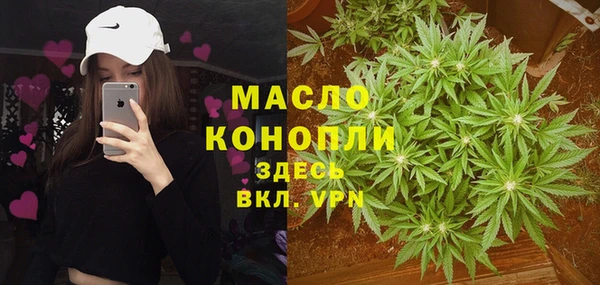СК Инта