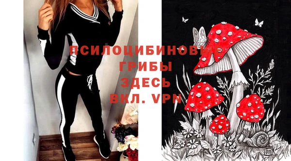 СК Инта