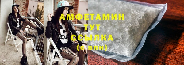 прущие грибы Инсар