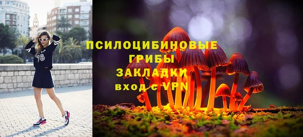 прущие грибы Инсар