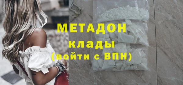 прущие грибы Инсар