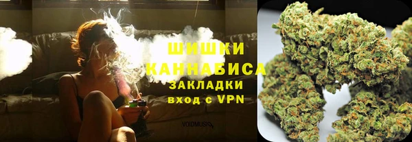 apvp Иннополис