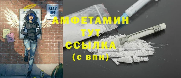 apvp Иннополис