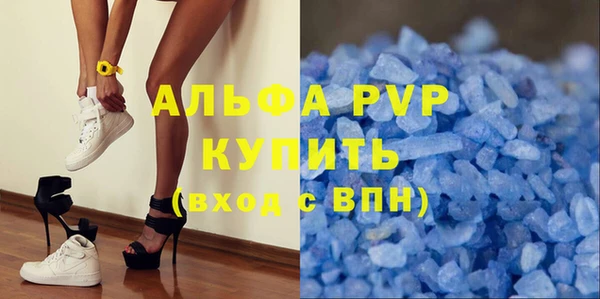 СК Инта