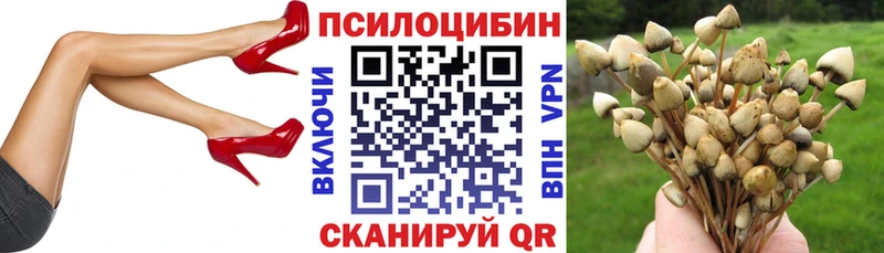 Купить закладки  Питкяранта  Псилоцибиновые грибы прущие грибы 